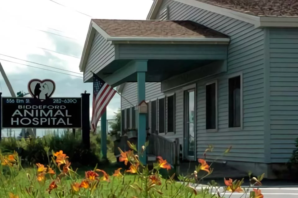 Veterinarian in Biddeford, ME | Quality Care for Your Pets — Surgery clinic in Biddeford, ME — photo 4
