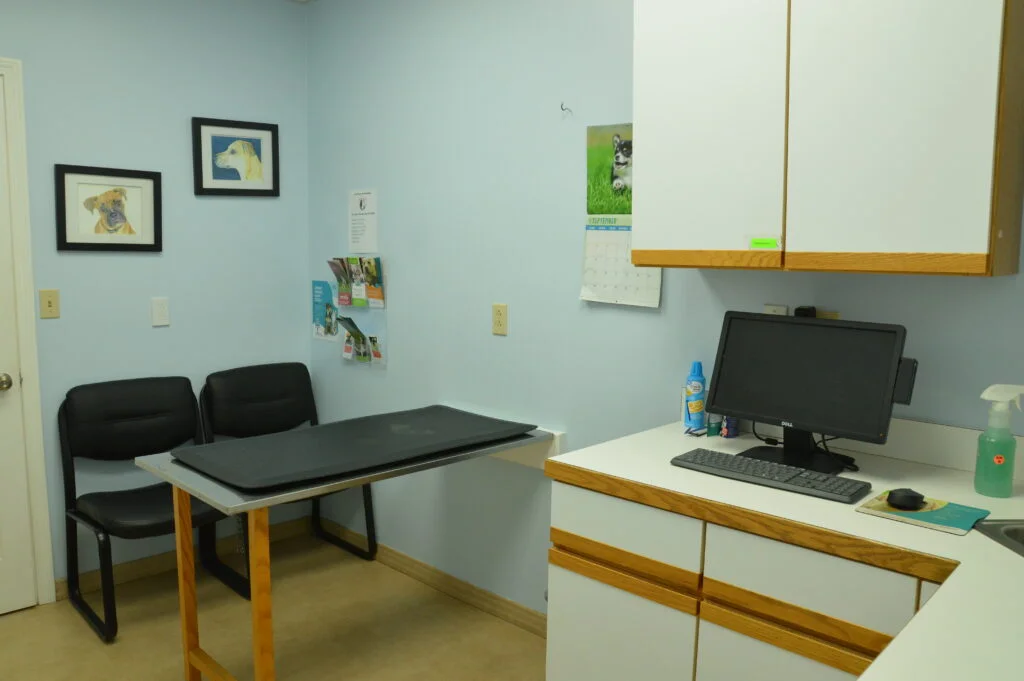 Veterinarian in Biddeford, ME | Quality Care for Your Pets — Surgery clinic in Biddeford, ME — photo 8
