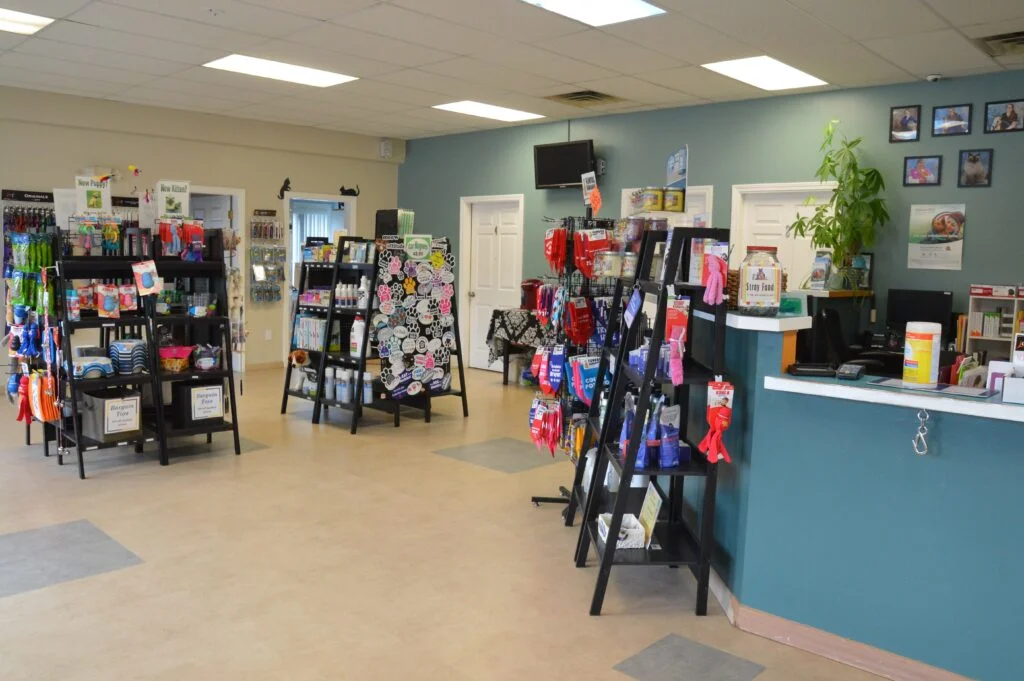 Veterinarian in Biddeford, ME | Quality Care for Your Pets — Surgery clinic in Biddeford, ME — photo 5