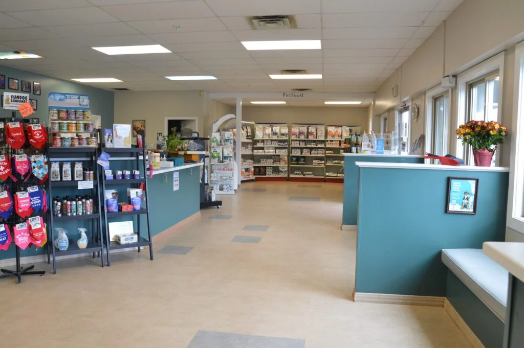 Veterinarian in Biddeford, ME | Quality Care for Your Pets — Surgery clinic in Biddeford, ME — photo 6