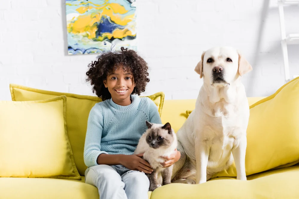 Veterinarian in Biddeford, ME | Quality Care for Your Pets — Surgery clinic in Biddeford, ME — photo 2